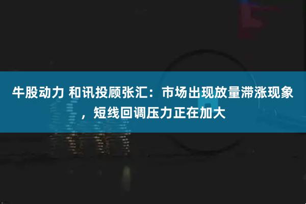 牛股动力 和讯投顾张汇：市场出现放量滞涨现象，短线回调压力正在加大