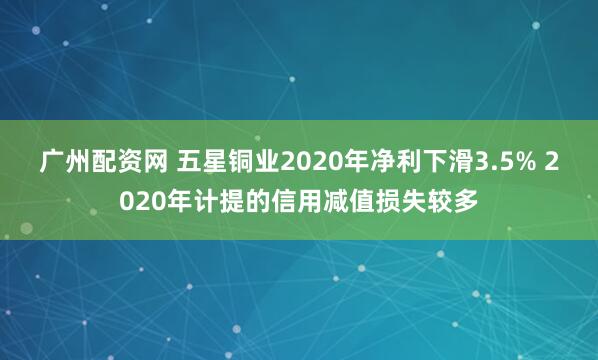 广州配资网 五星铜业2020年净利下滑3.5% 2020年计提的信用减值损失较多